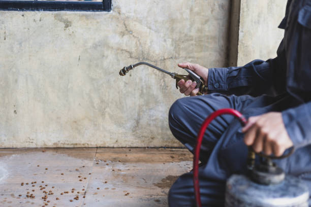 Best Residential Pest Control  in Thief River Falls, MN